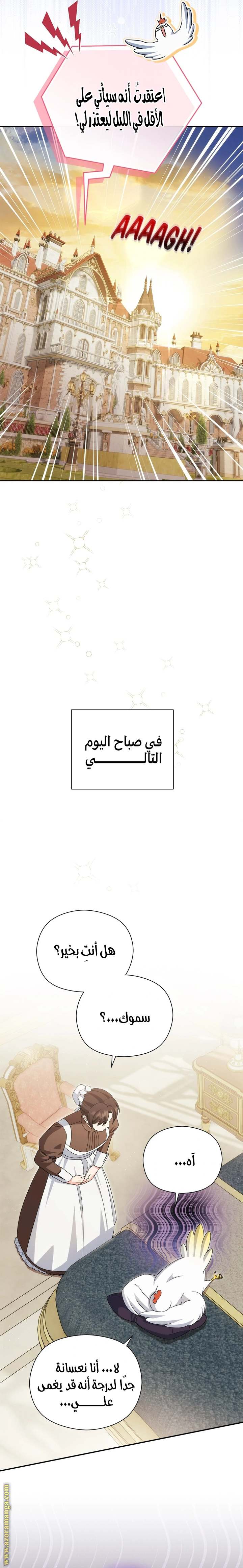 الصفحة 7
