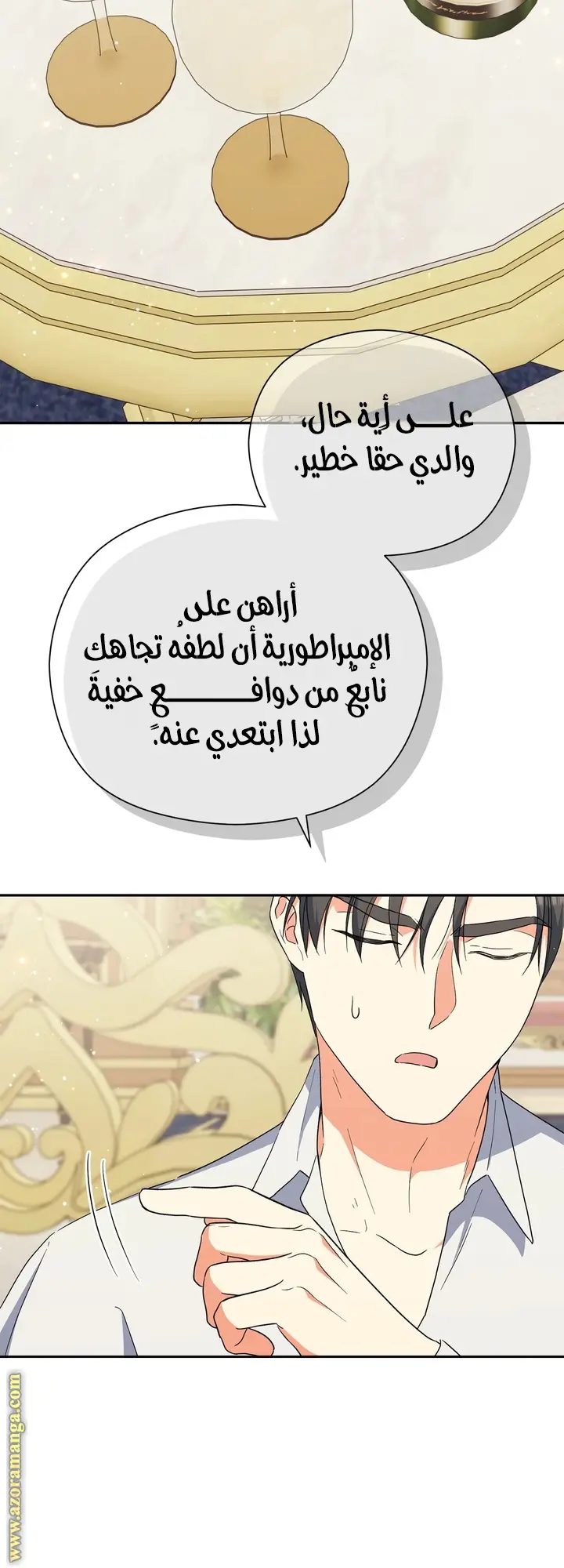 الصفحة 13