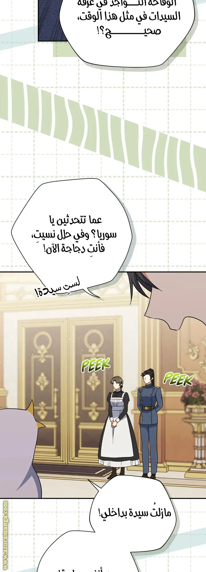 الصفحة 29
