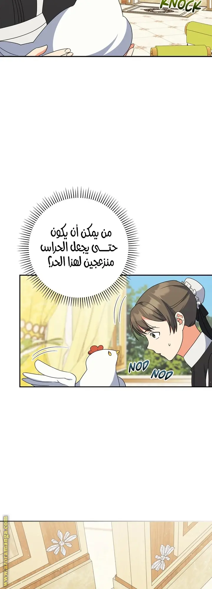 الصفحة 43