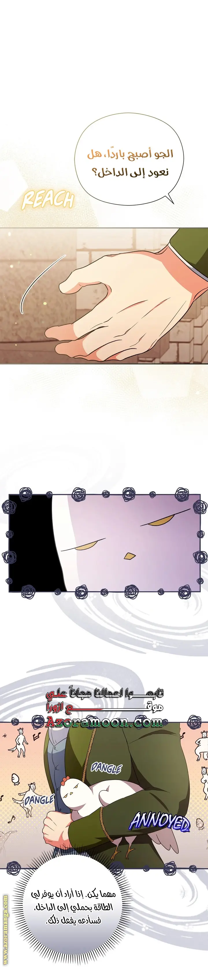 الصفحة 17