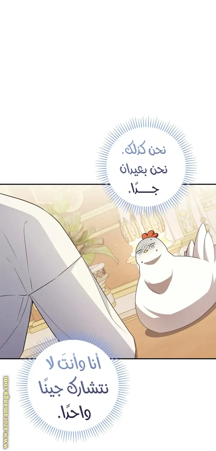 الصفحة 49