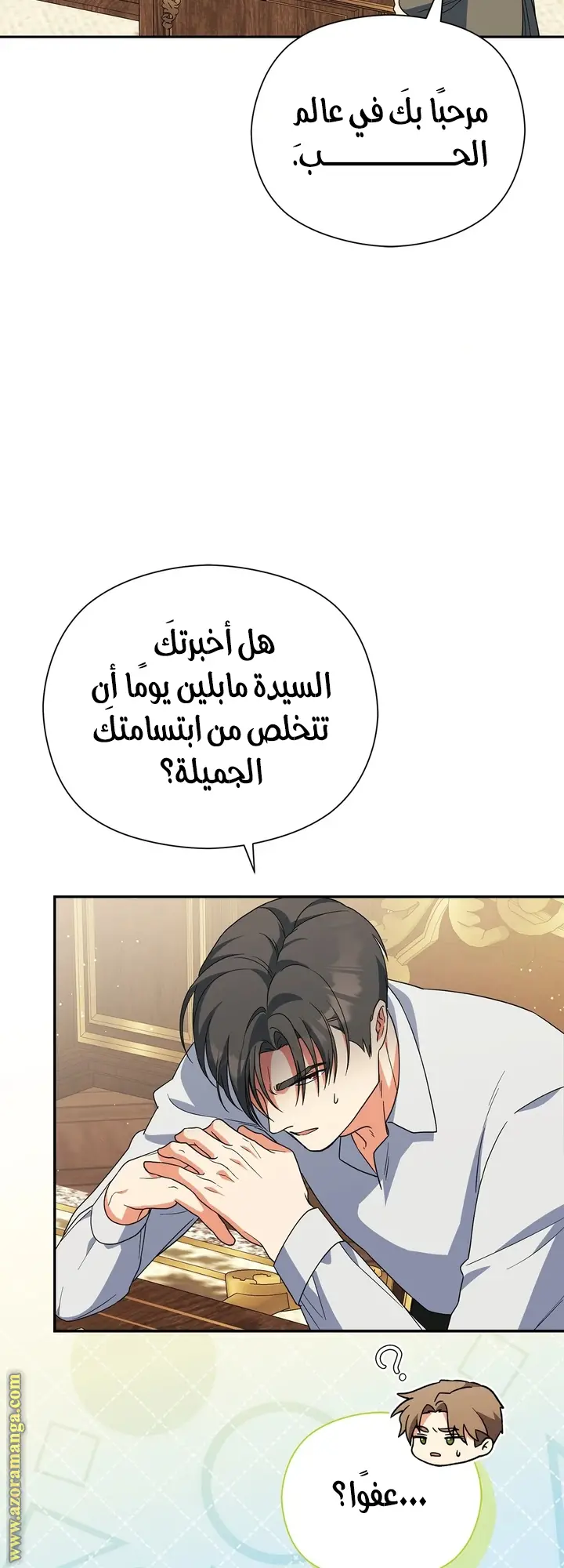الصفحة 27