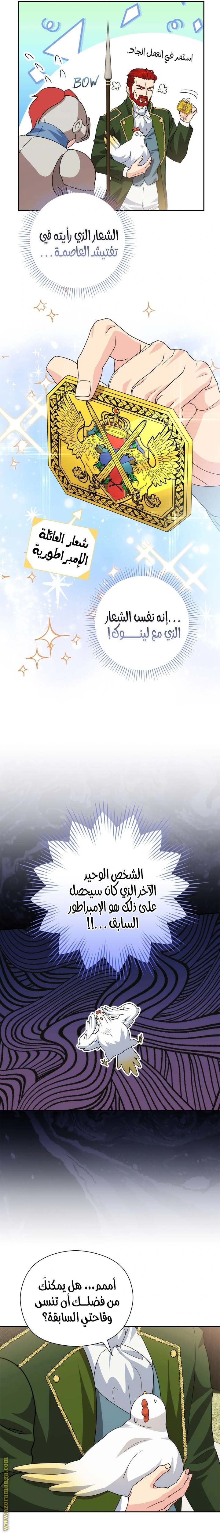 الصفحة 17