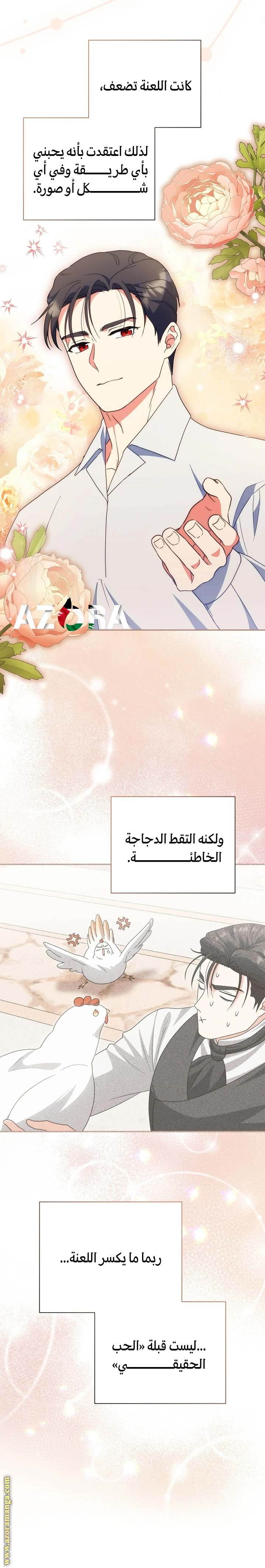 الصفحة 14