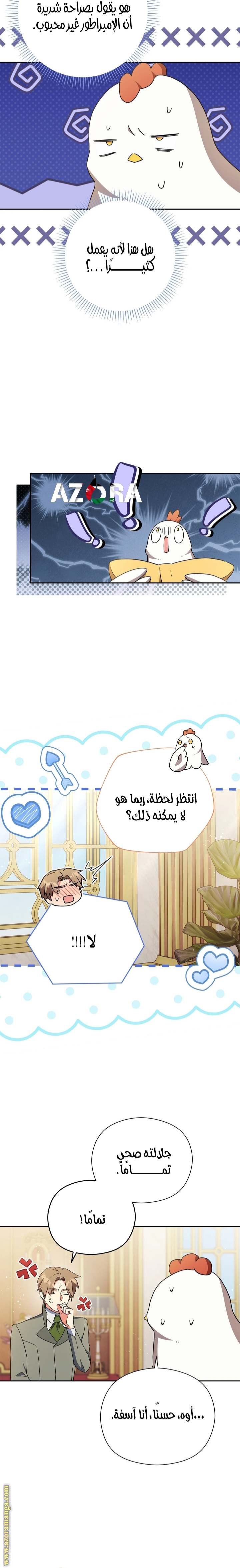 الصفحة 17