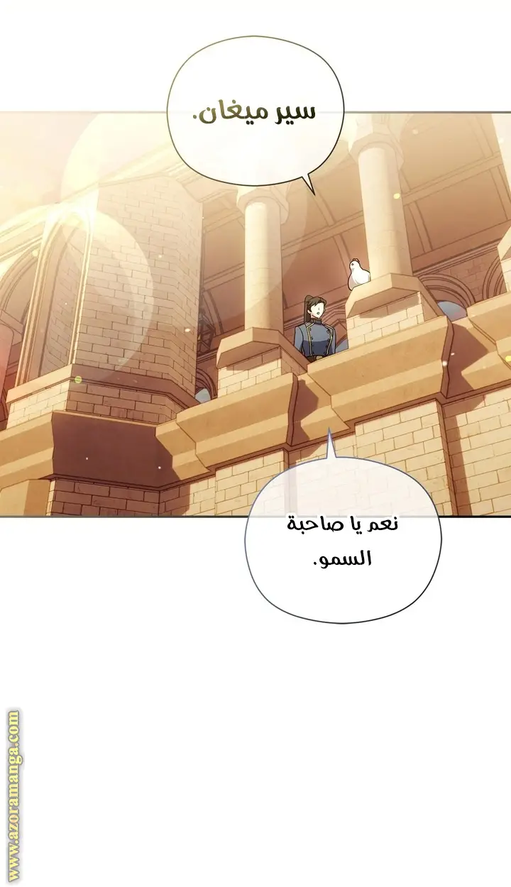 الصفحة 26