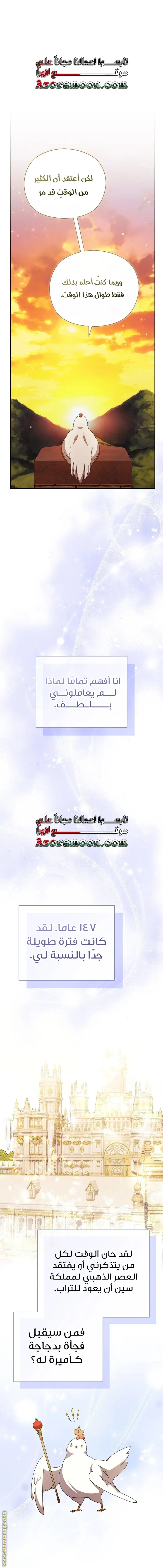 الصفحة 29