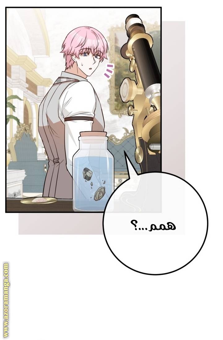 الصفحة 39