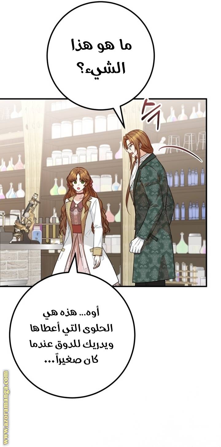 الصفحة 41