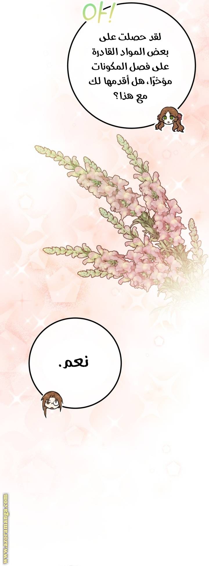 الصفحة 45