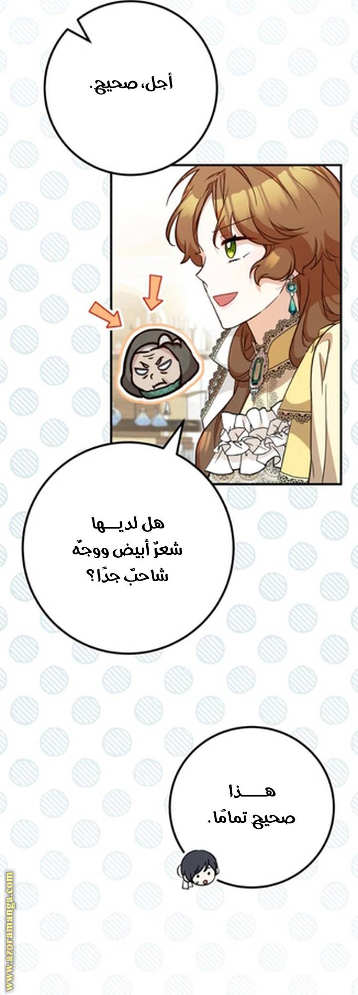 الصفحة 37
