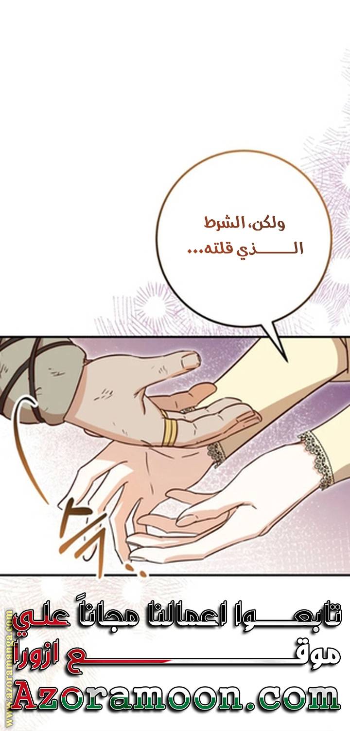 الصفحة 51