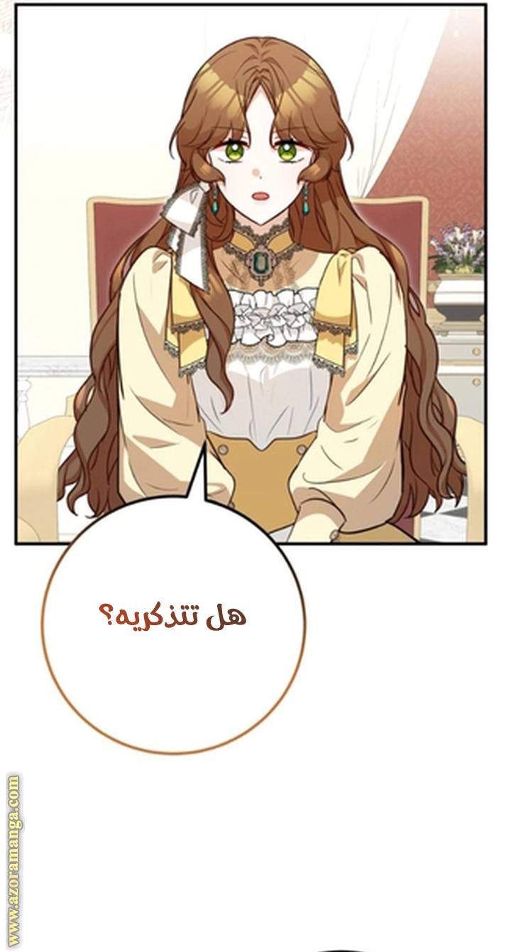 الصفحة 52