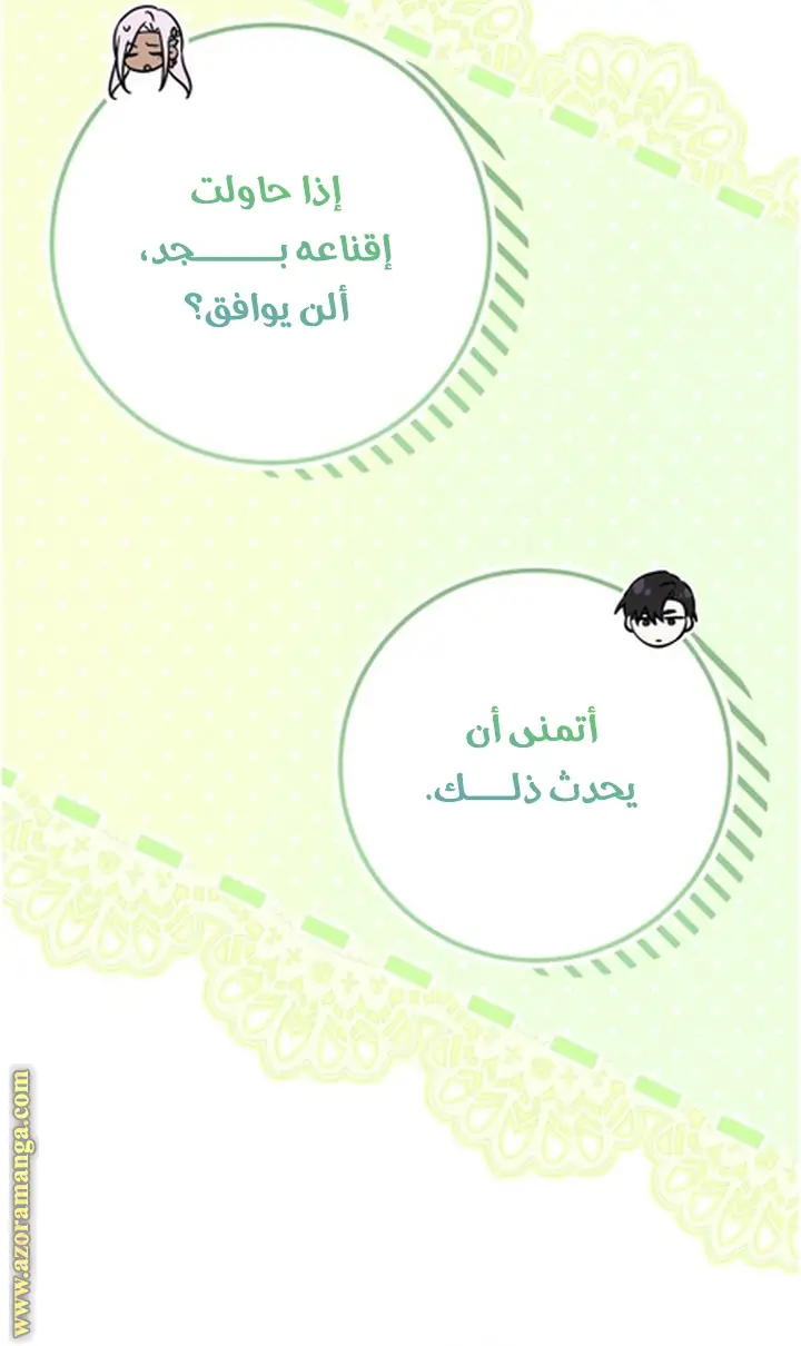 الصفحة 20