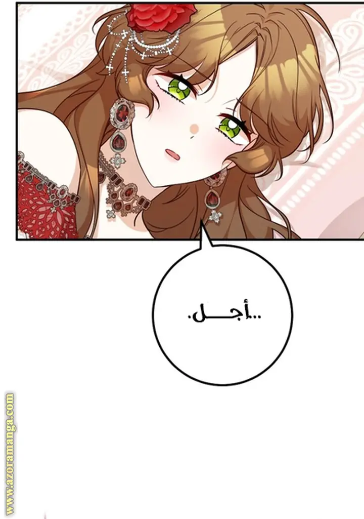 الصفحة 23