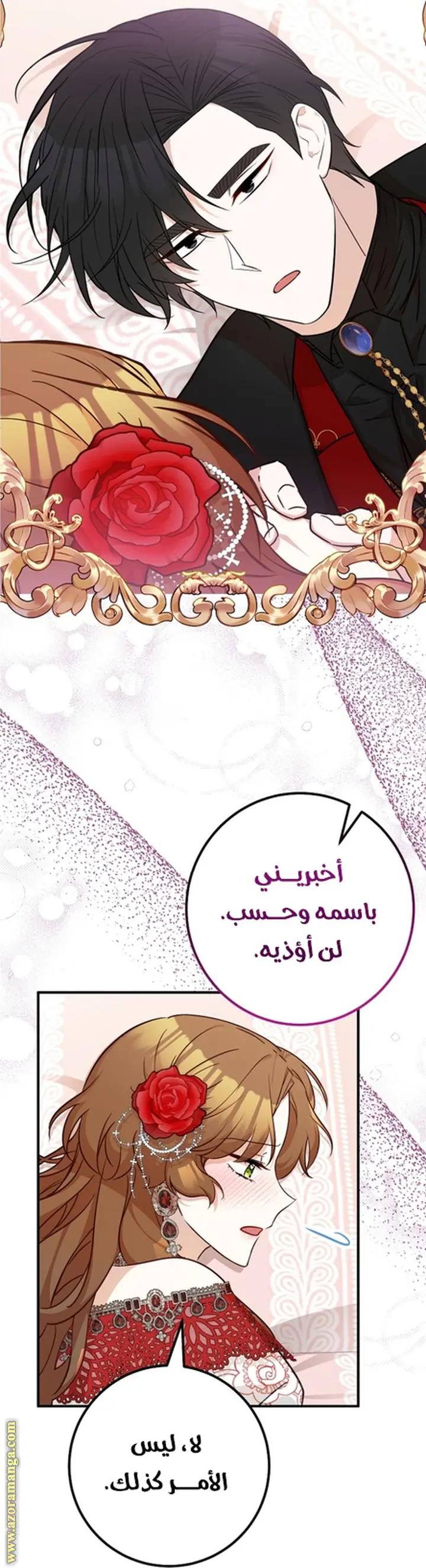 الصفحة 25