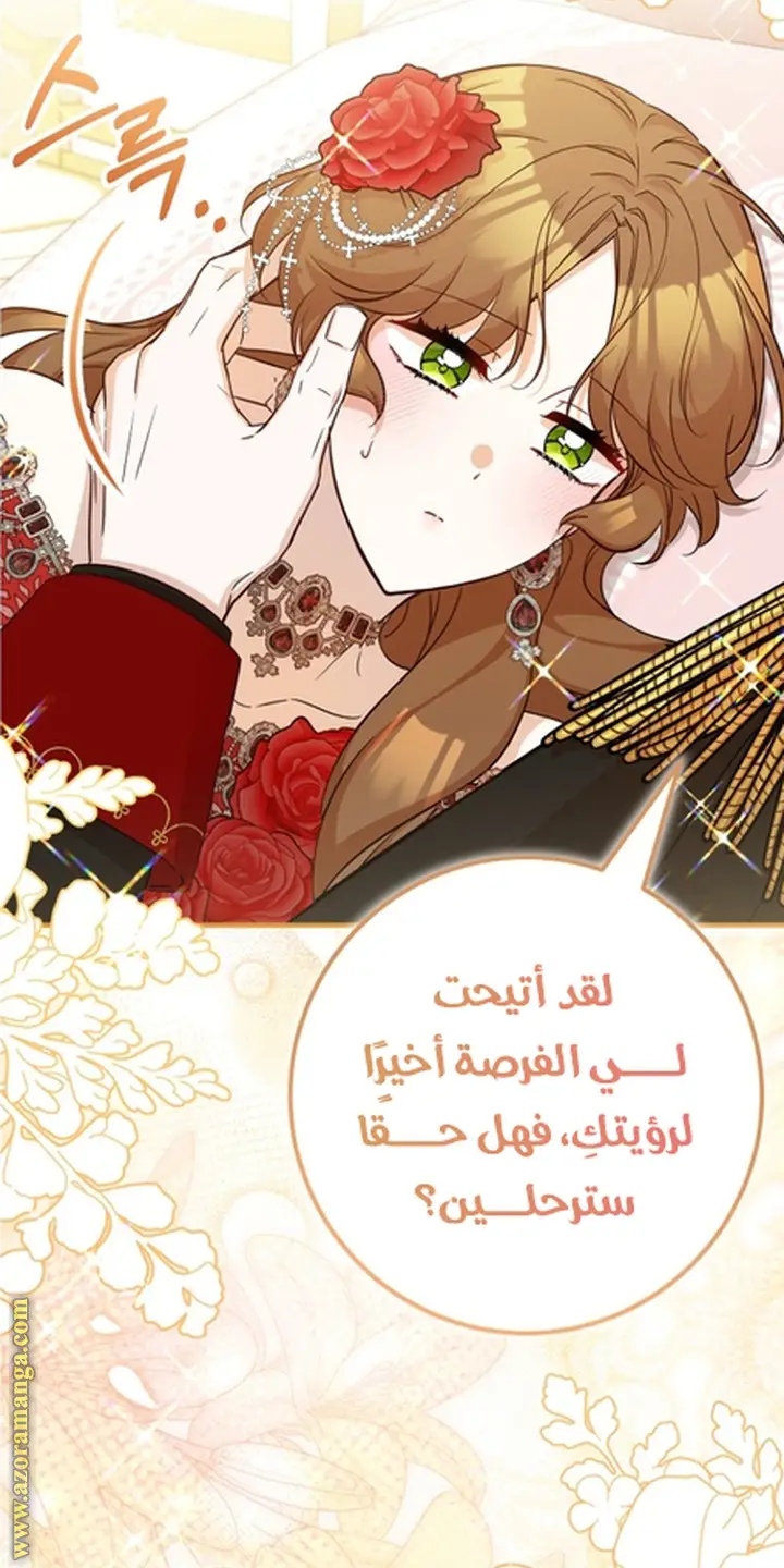 الصفحة 27