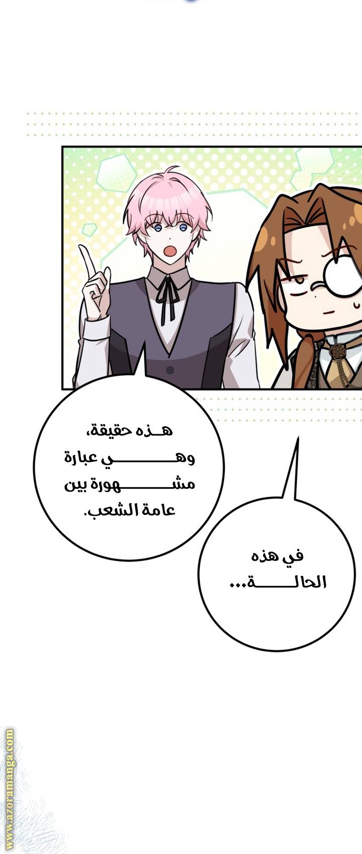 الصفحة 25