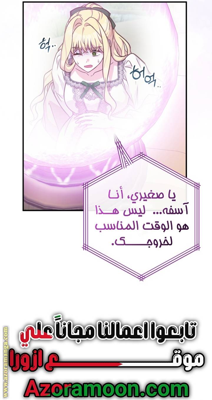 الصفحة 42