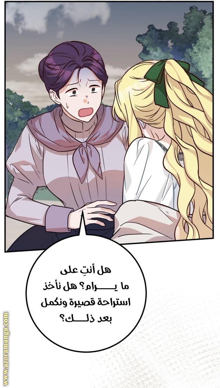 الصفحة 43