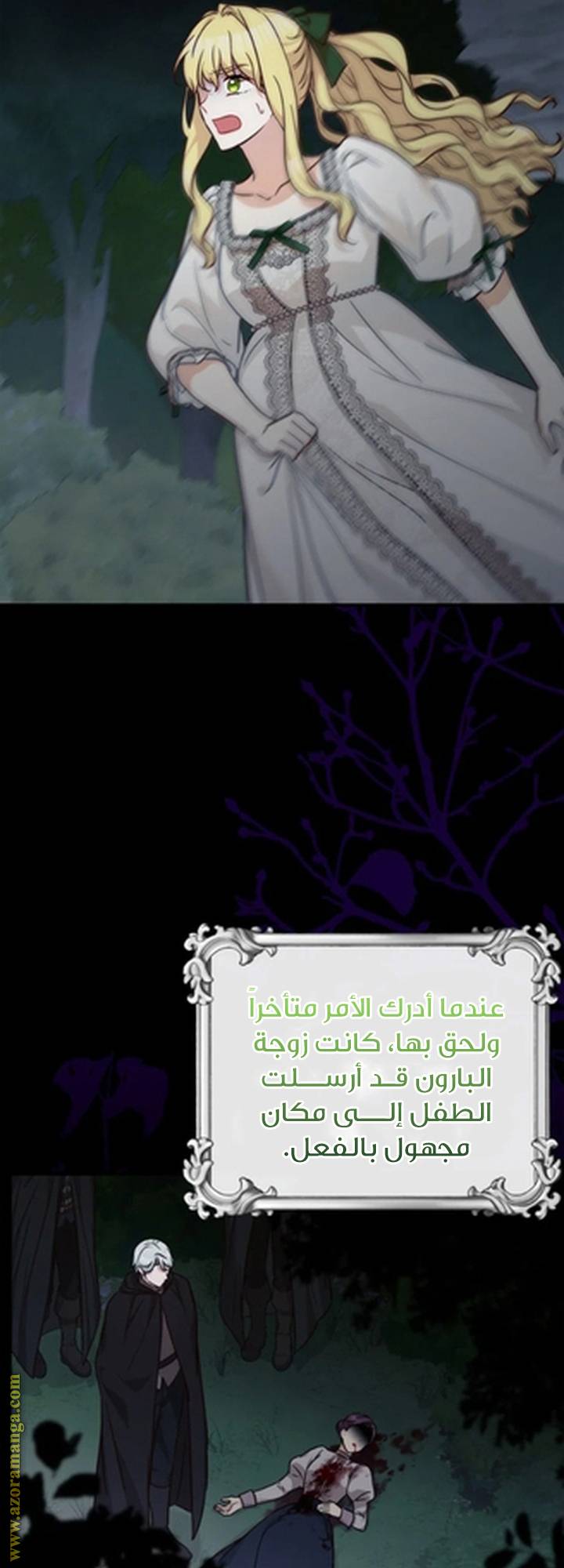 الصفحة 17