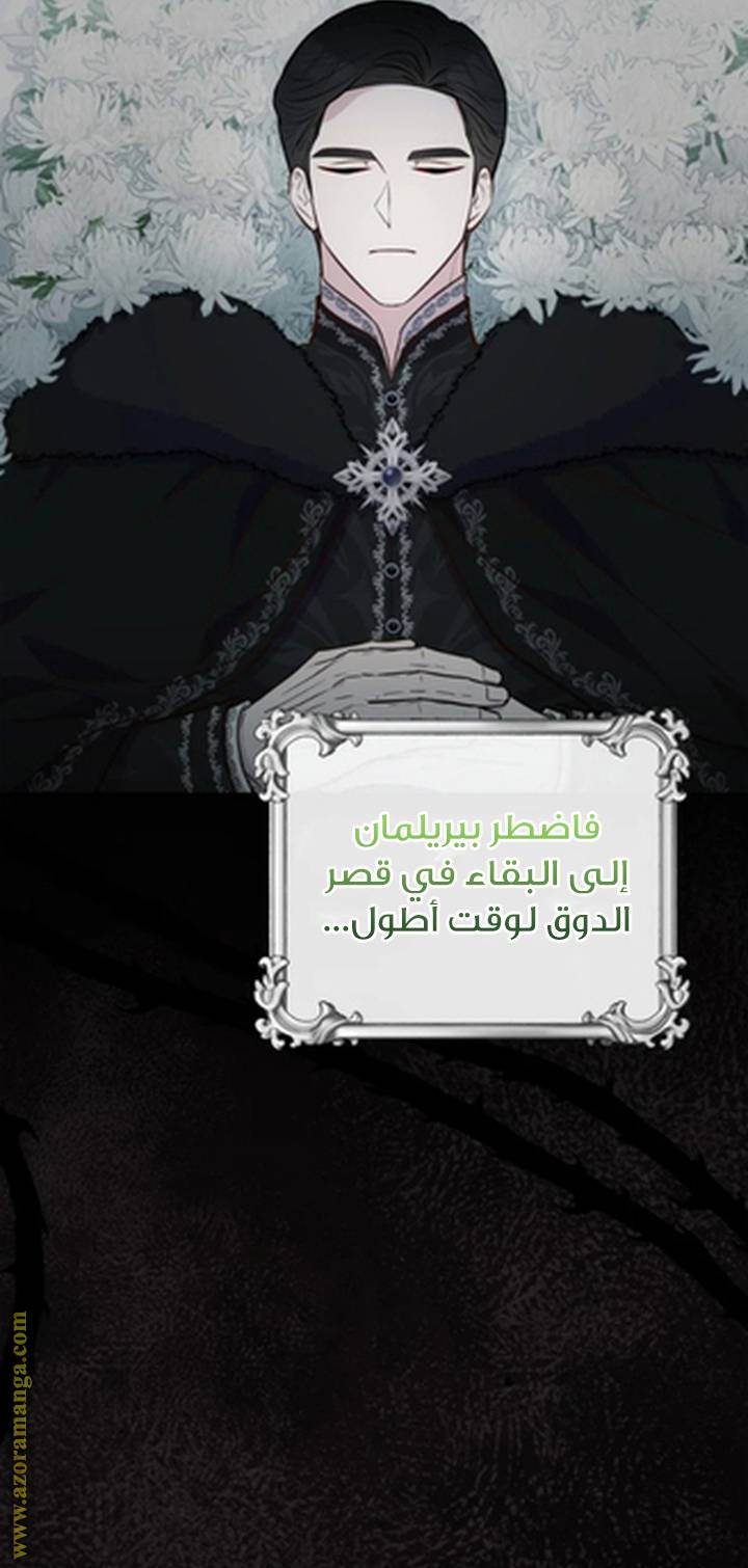 الصفحة 20
