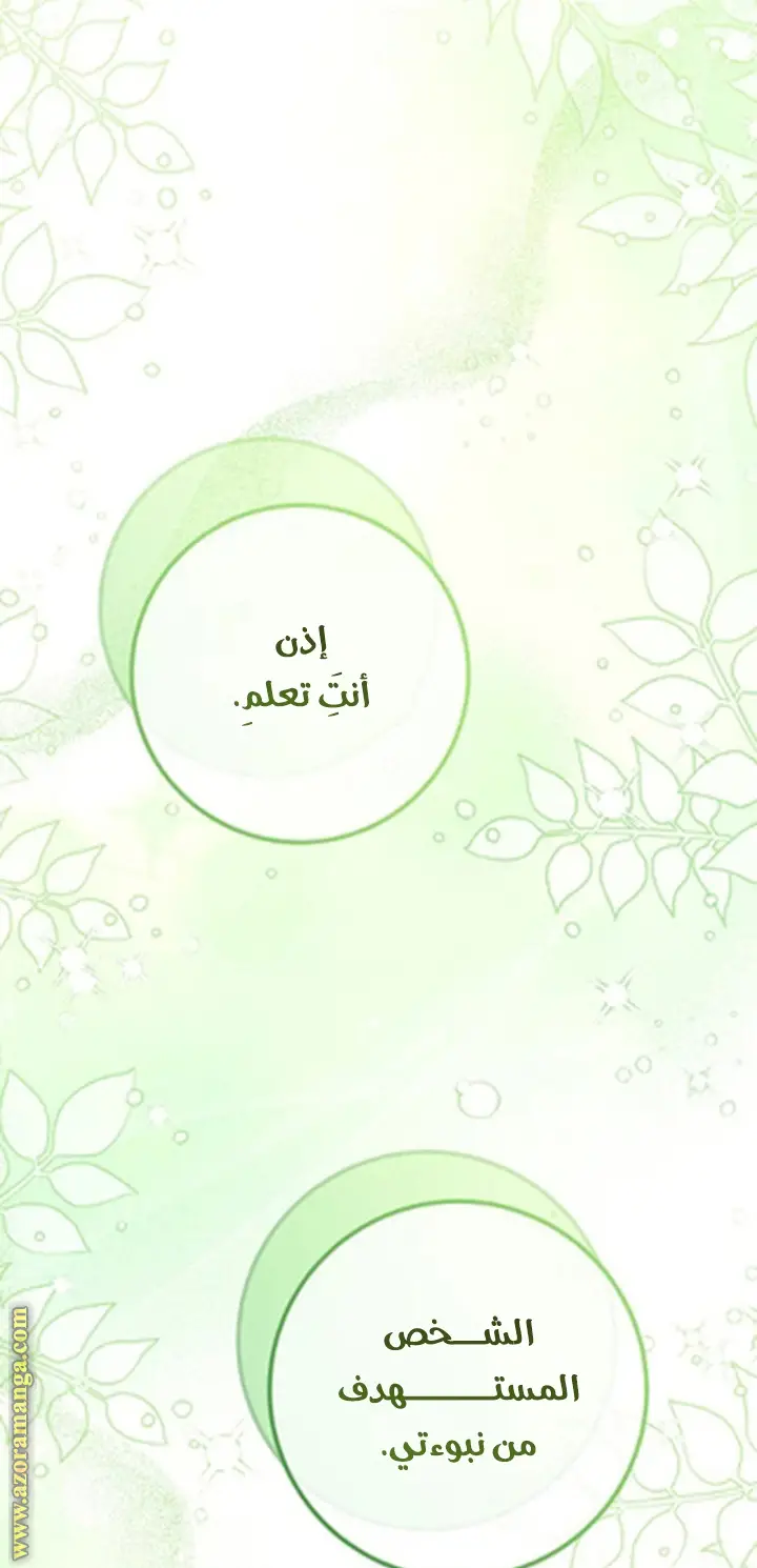 الصفحة 41