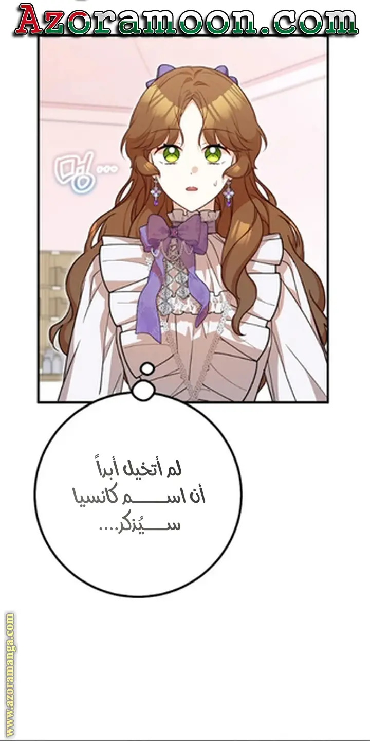 الصفحة 52