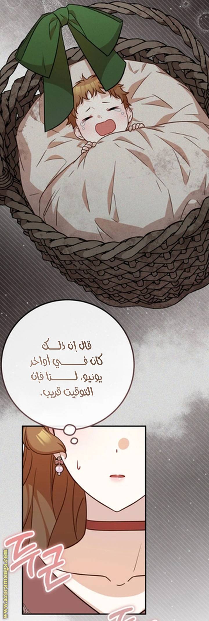 الصفحة 11