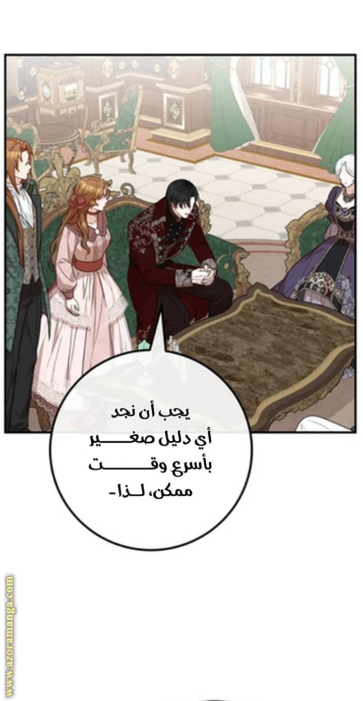 الصفحة 27
