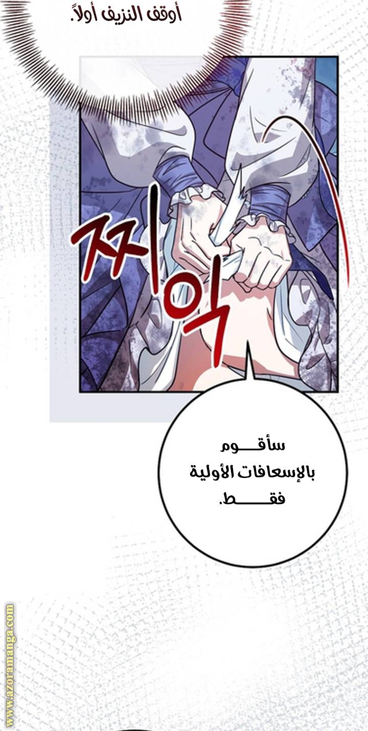 الصفحة 24