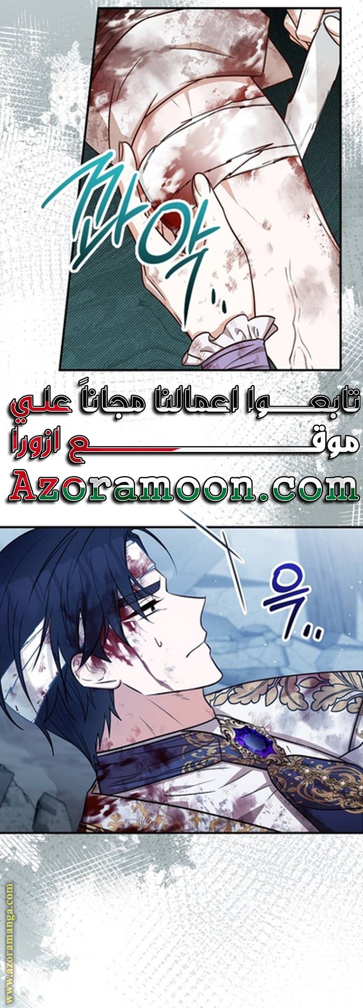 الصفحة 26