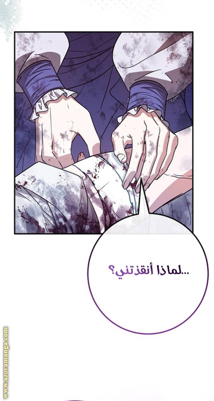 الصفحة 27