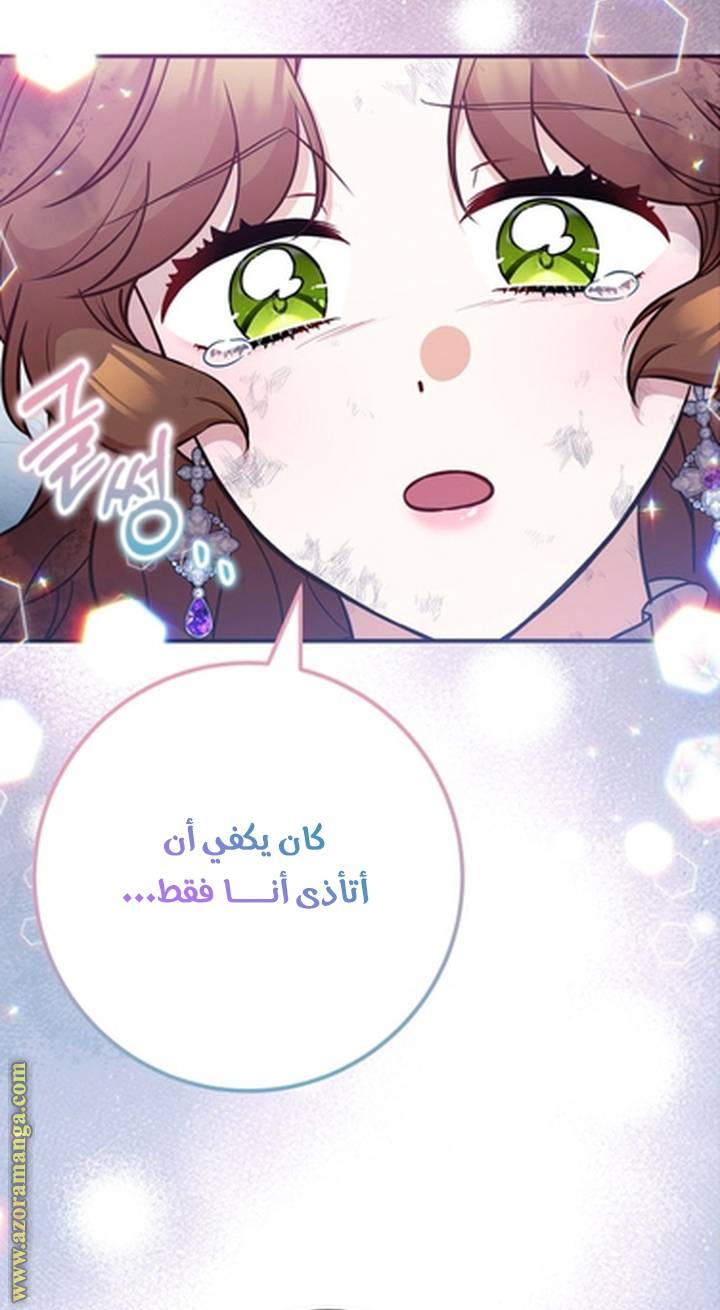 الصفحة 29