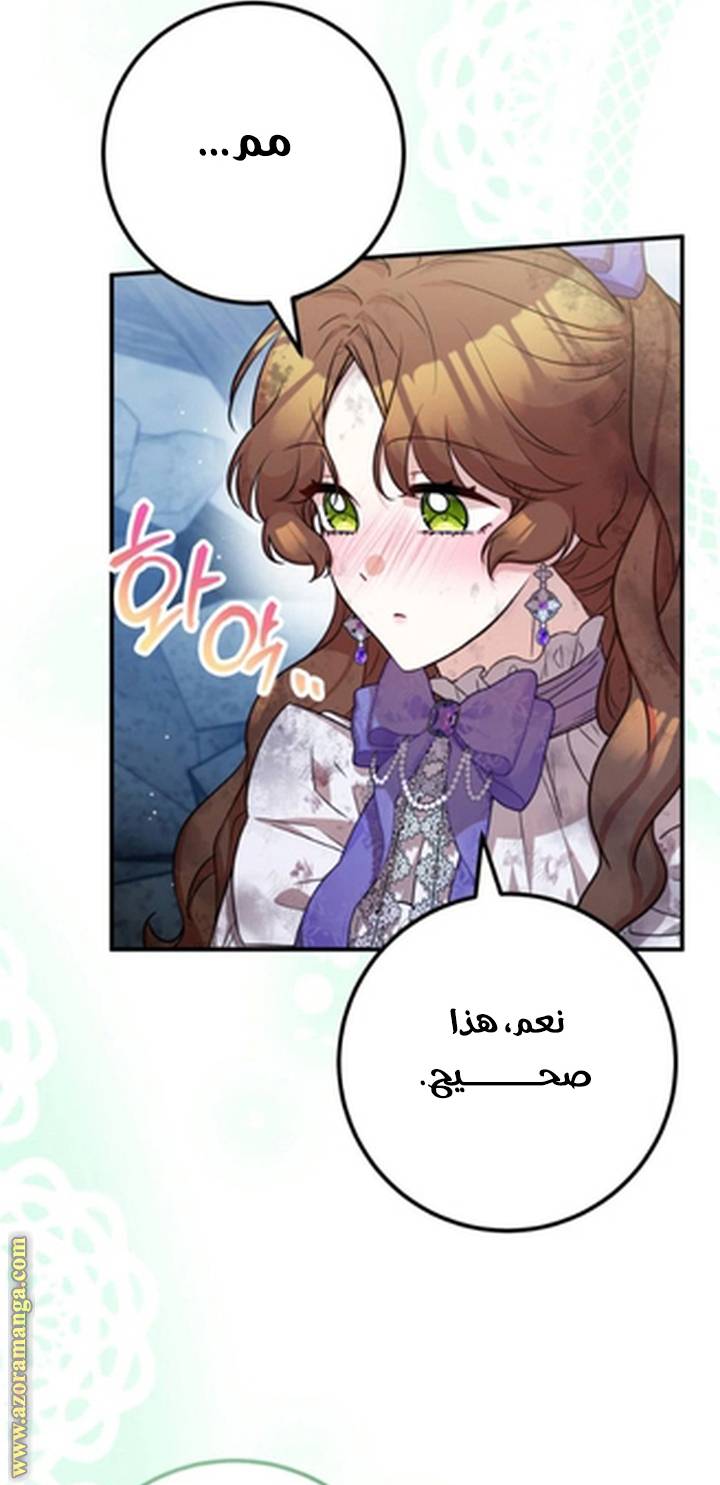 الصفحة 31