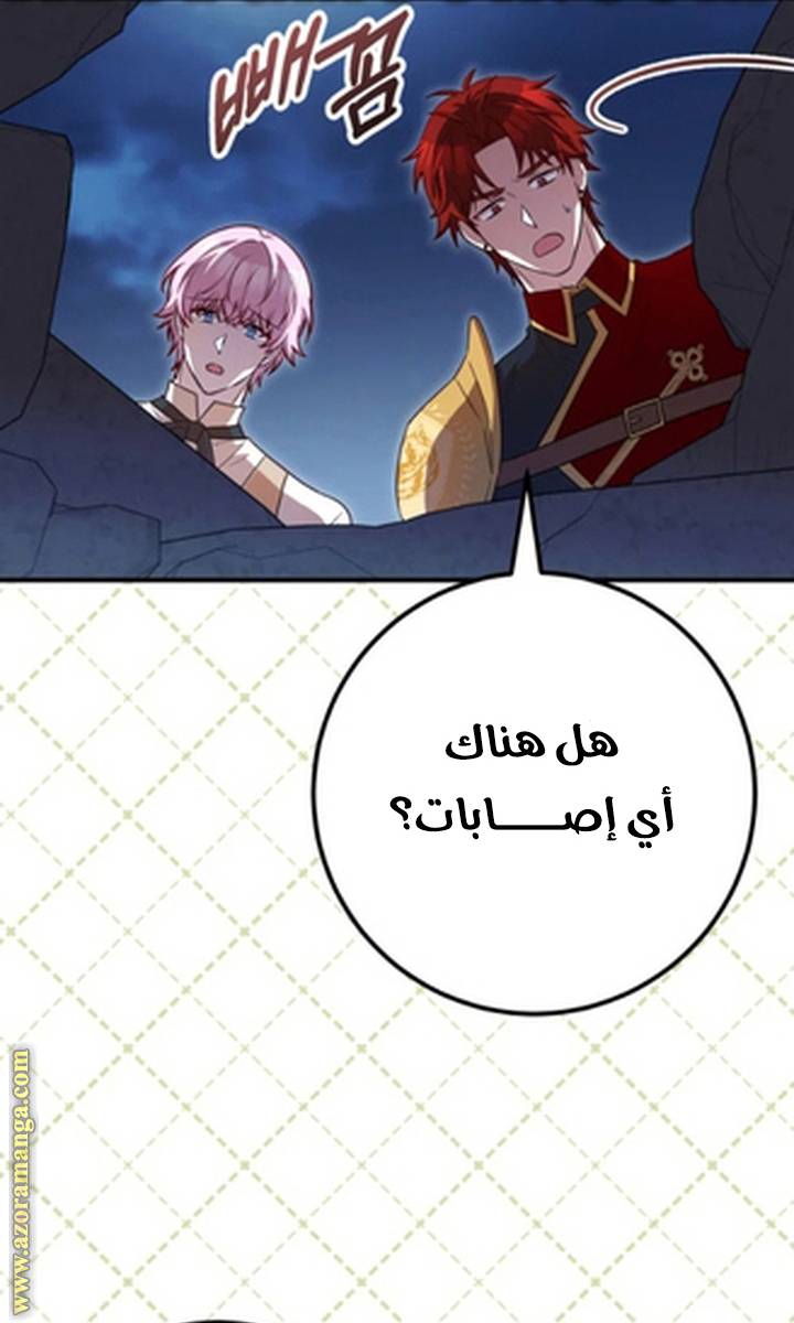 الصفحة 39