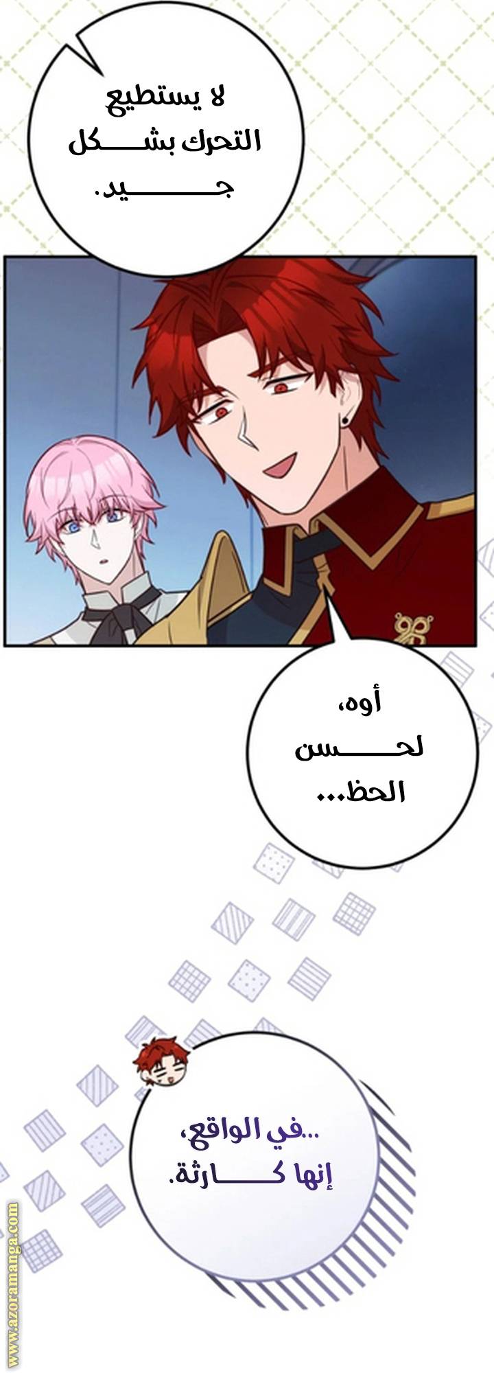 الصفحة 41