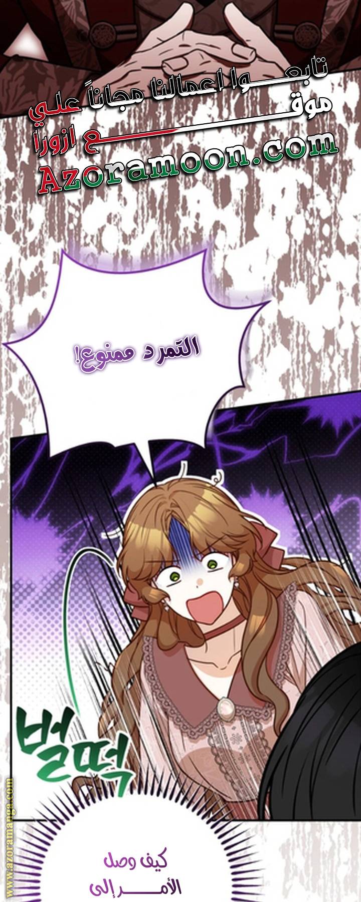 الصفحة 19