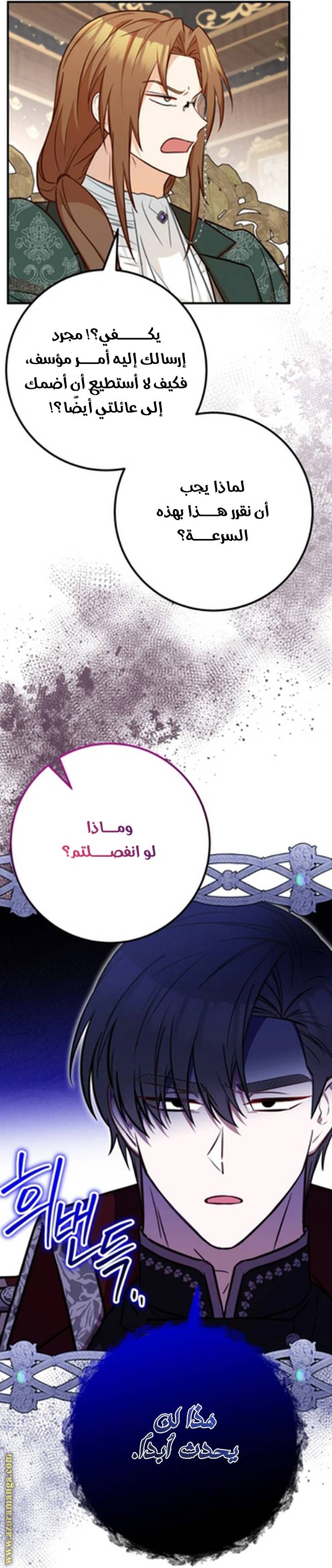 الصفحة 21