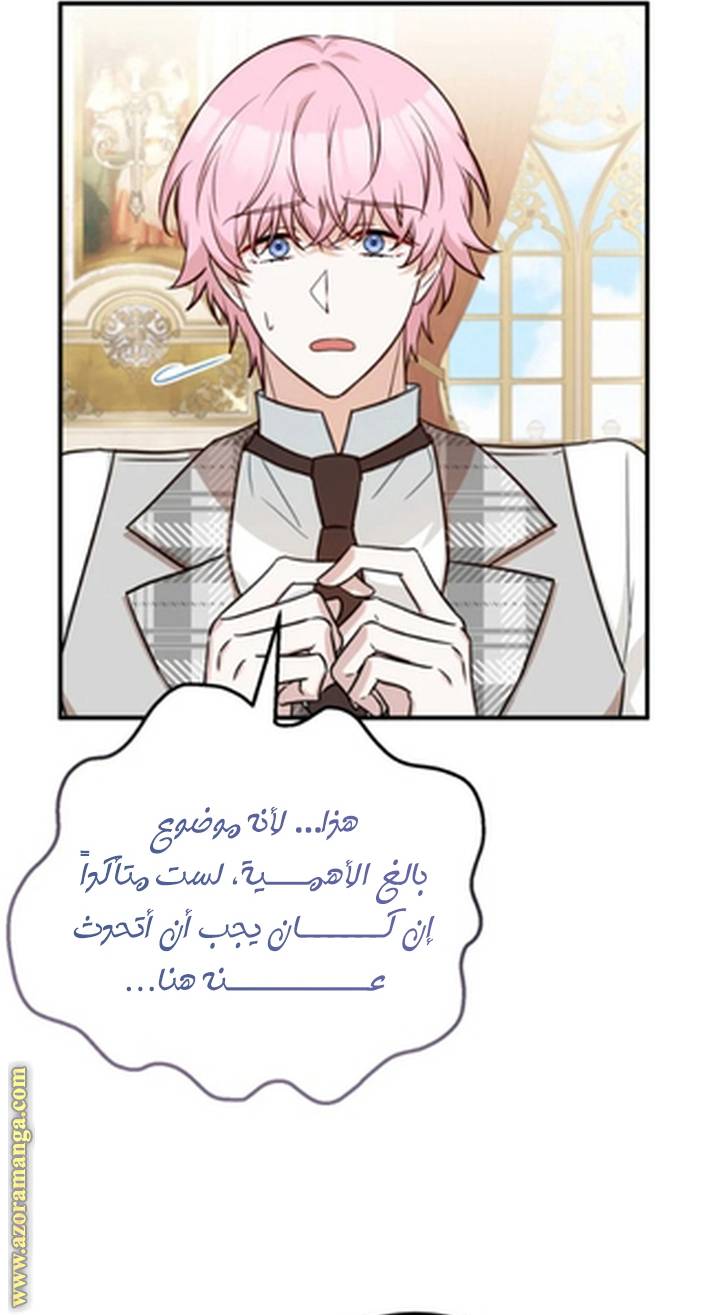 الصفحة 41