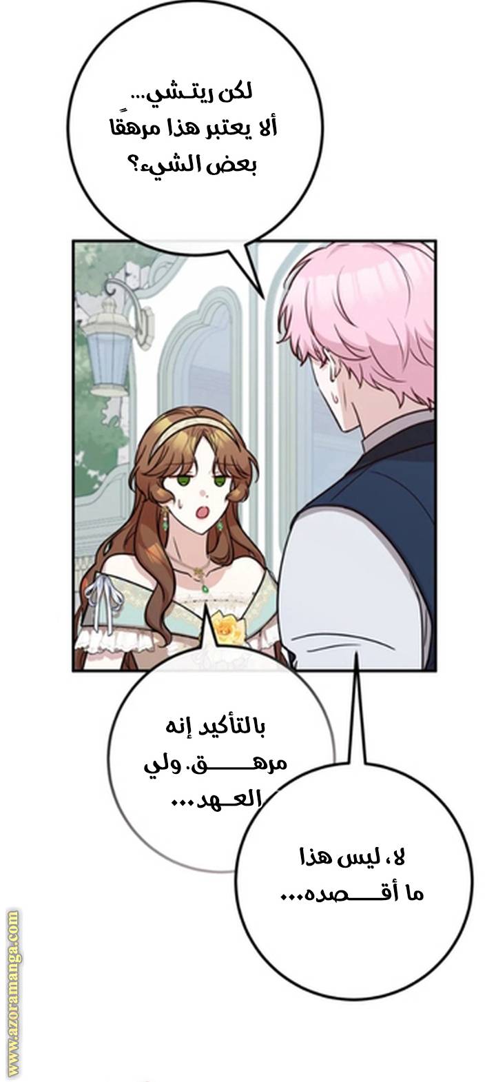 الصفحة 15