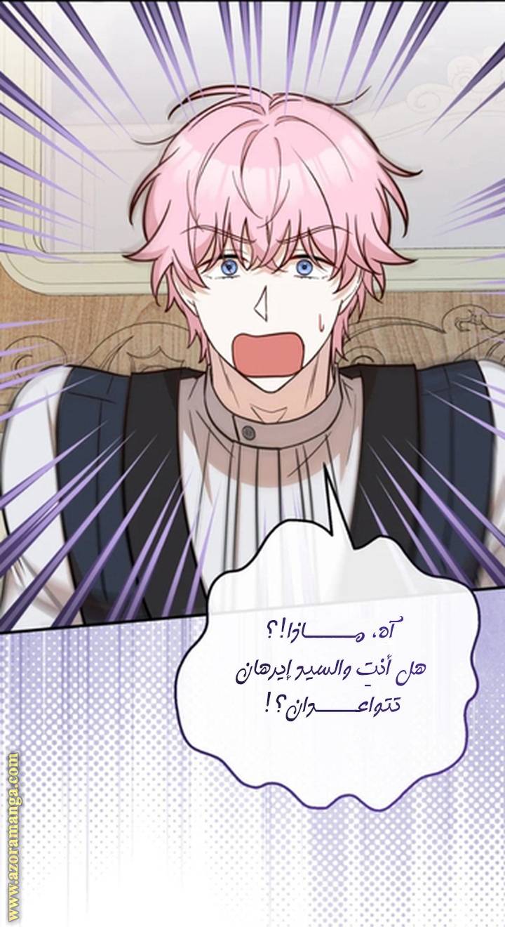 الصفحة 21
