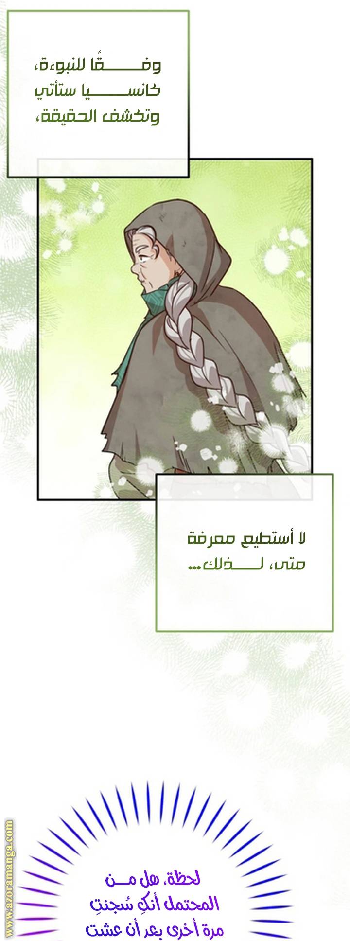 الصفحة 25