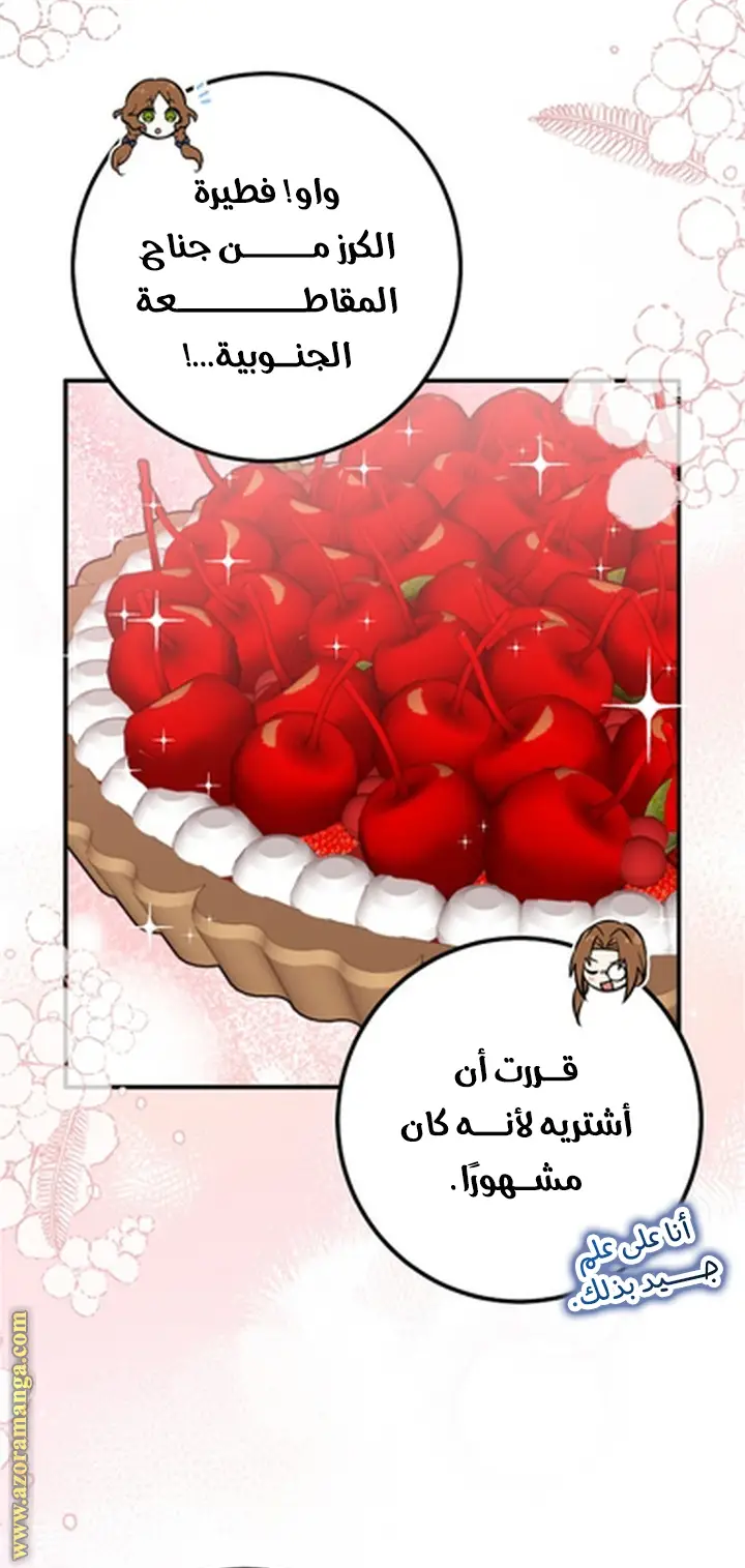 الصفحة 25