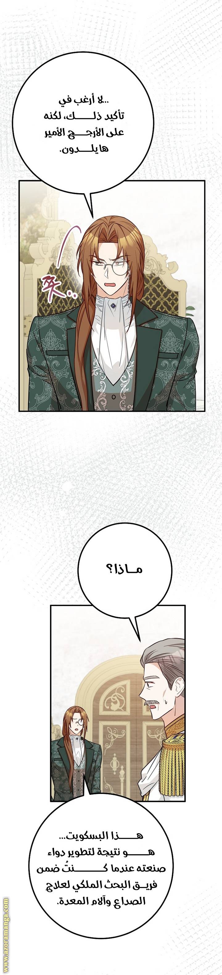 الصفحة 21