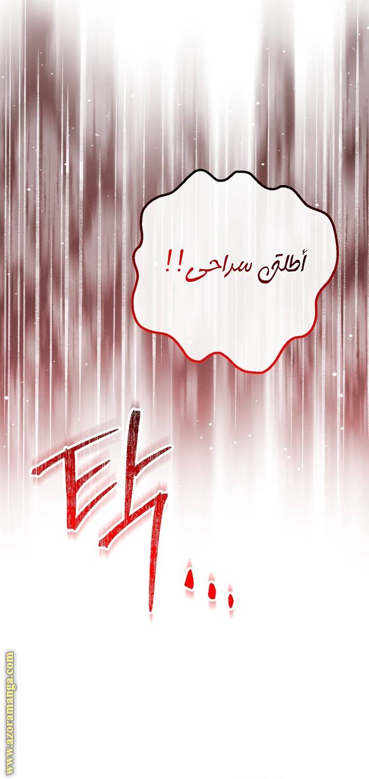 الصفحة 25