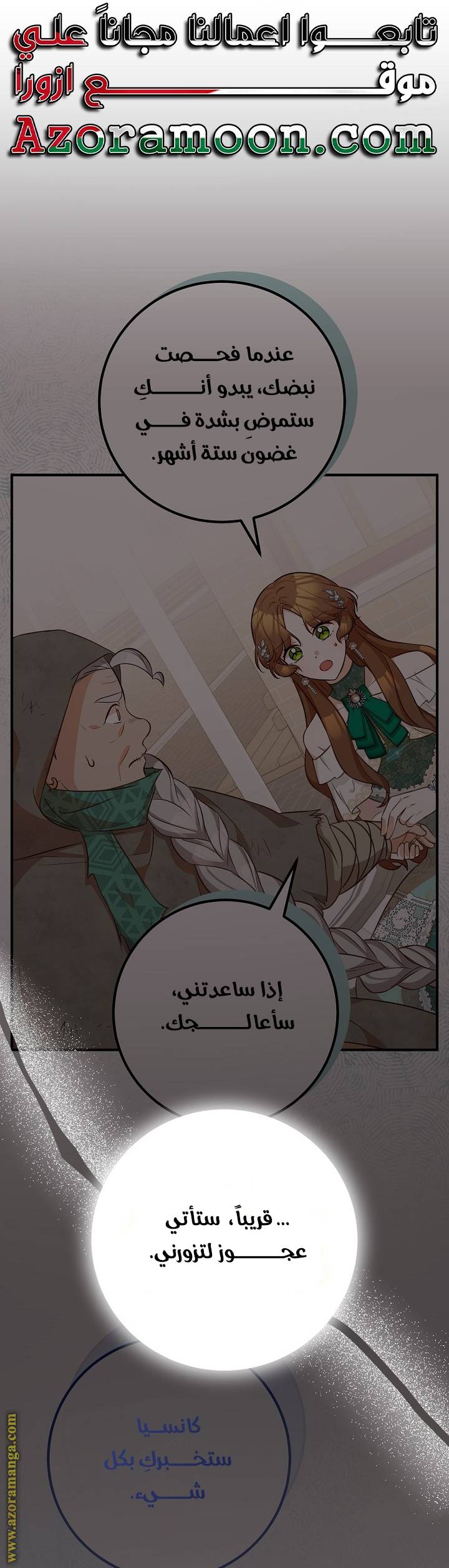 الصفحة 29