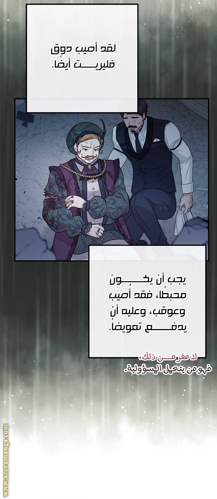 الصفحة 43