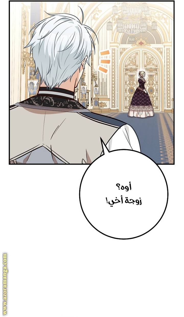 الصفحة 45